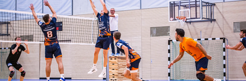 Zweite Volleyball Bundesliga TSV Muehldorf verliert Erstes Spiel